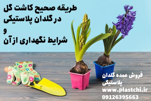 طریقه صحیح کاشت گل در گلدان پلاستیکی و شرایط نگهداری از آن