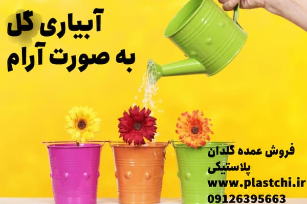 طریقه صحیح کاشت گل در گلدان پلاستیکی و شرایط نگهداری از آن