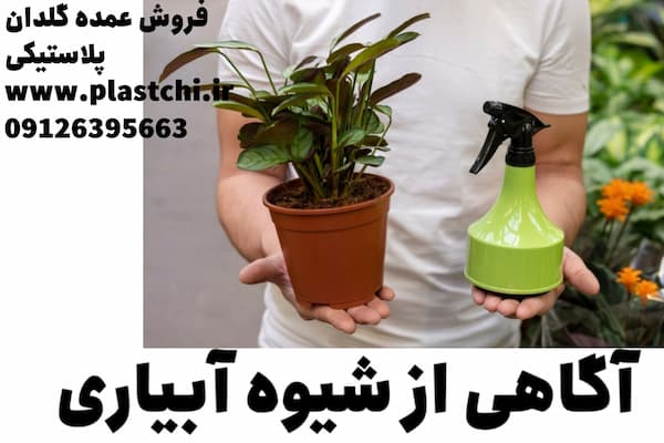 طریقه صحیح کاشت گل در گلدان پلاستیکی و شرایط نگهداری از آن