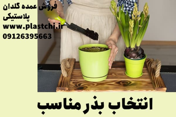 طریقه صحیح کاشت گل در گلدان پلاستیکی و شرایط نگهداری از آن