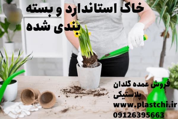 طریقه صحیح کاشت گل در گلدان پلاستیکی و شرایط نگهداری از آن
