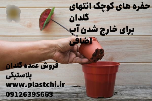 طریقه صحیح کاشت گل در گلدان پلاستیکی و شرایط نگهداری از آن