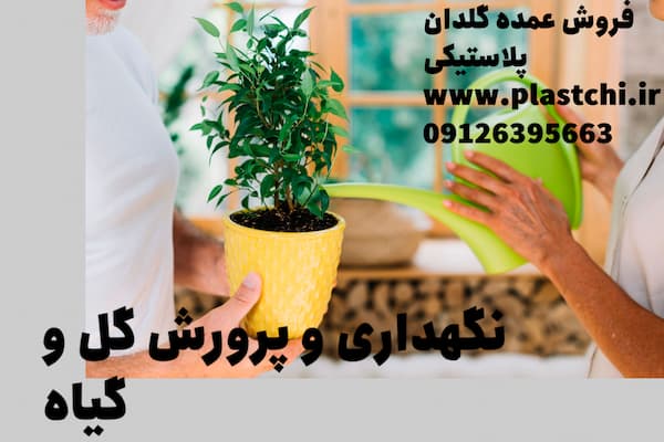طریقه صحیح کاشت گل در گلدان پلاستیکی و شرایط نگهداری از آن