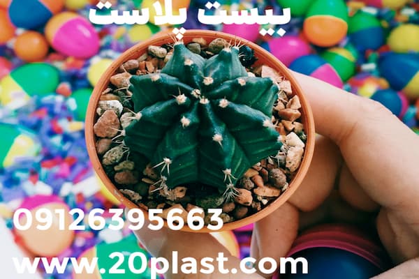 خرید عمده گلدان پلاستیکی کوچک طرح جدید